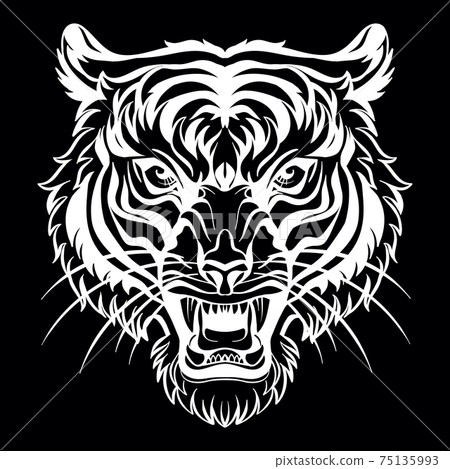 Vector head of mascot tiger isolated on black Vector head of mascot tiger isolated on black 75135993