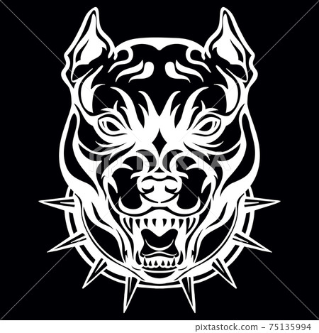 Vector head of mascot pitbull isolated on black Vector head of mascot pitbull isolated on black 75135994