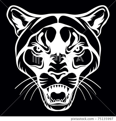 Vector head of mascot cougar isolated on black 75135997