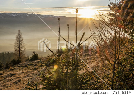 Sunset scene, Helpa village, Slovakia 75136319