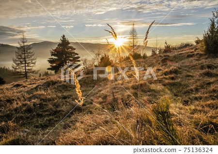 Sunset scene, Helpa village, Slovakia 75136324