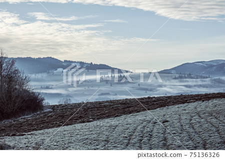 Foggy morning, Helpa village, Slovakia 75136326