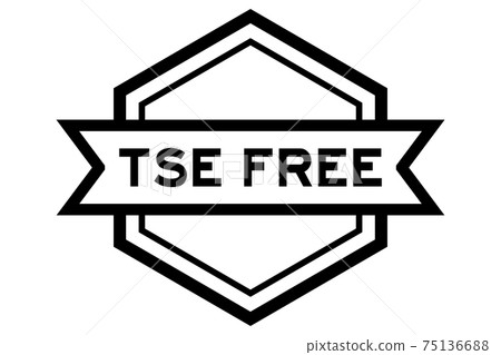 Vintage hexagon label banner with word TSE (Transmissible Spongiform Encephalopathy) free in black color on white background Vintage hexagon label banner with word TSE (Transmissible Spongiform Encephalopathy) free in black color on white background 75136688