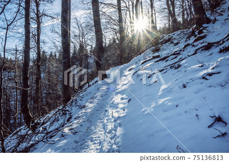 Big Fatra mountains, Slovakia, snowy landscape Big Fatra mountains, Slovakia, snowy landscape 75136813