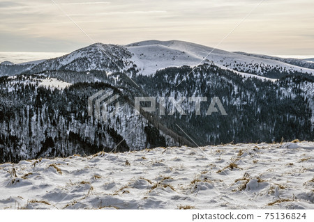Big Fatra mountains, Slovakia, snowy landscape Big Fatra mountains, Slovakia, snowy landscape 75136824