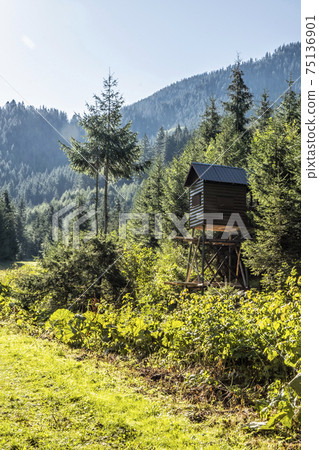 High stand in the meadow, Low Tatras mountains, Slovakia 75136901