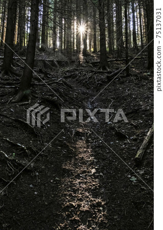 Sunny morning in Low Tatras mountains, Slovakia Sunny morning in Low Tatras mountains, Slovakia 75137031