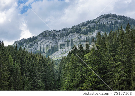 Ohniste rock massif, Low Tatras mountains, Slovakia 75137168