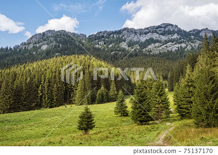 Ohniste rock massif, Low Tatras mountains, Slovakia 75137170