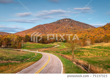 Mt. Yonah, Georgia, USA in Autumn 75137323