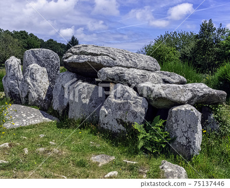 Carnac stones in Carnac, France Carnac stones in Carnac, France 75137446