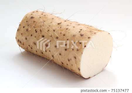 Yam 75137477