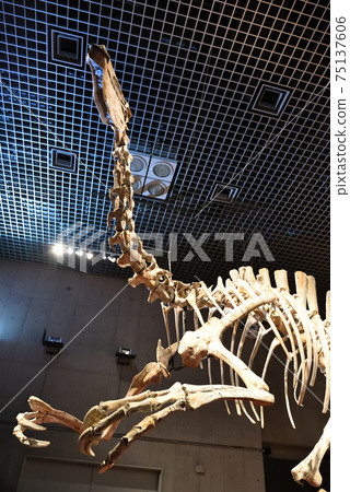 Deinocheirus dinosaurs, illustration - Stock Image - C048/2646 - Science  Photo Library