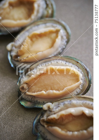 Fresh live abalone gray background copy space 75138777