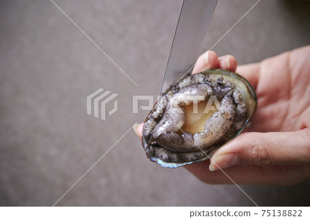 Women's hands handling abalone Live abalone Women's hands handling abalone Live abalone 75138822