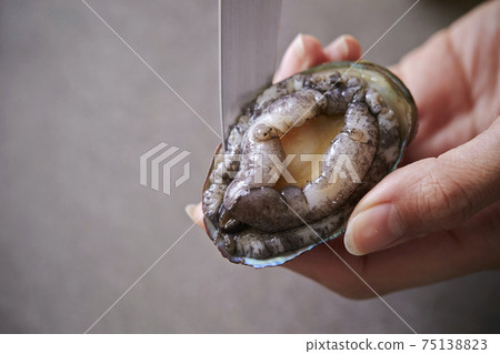 婦女的手處理鮑魚活鮑魚 75138823