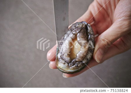 Women's hands handling abalone Live abalone Women's hands handling abalone Live abalone 75138824