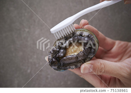 Abalone preparation: Women's hands washing live abalone with a brush 75138981