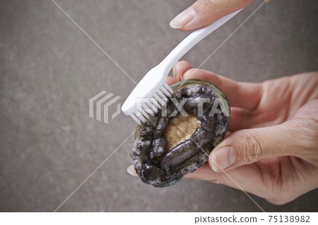Abalone preparation: Women's hands washing live abalone with a brush 75138982