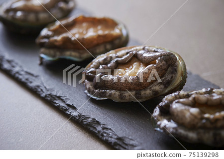 Fresh live abalone Fresh live abalone 75139298