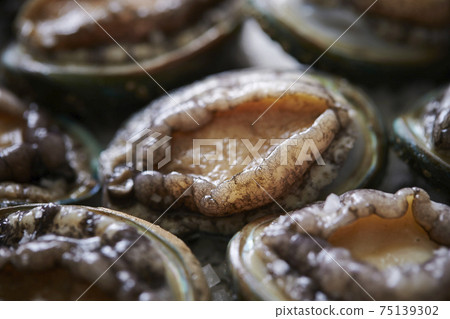 Fresh live abalone 75139302