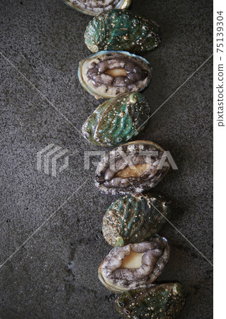 Fresh live abalone Fresh live abalone 75139304
