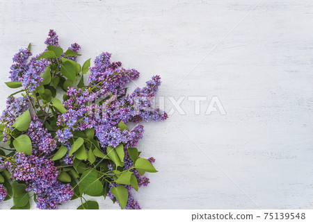 Happy Mothers day greeting card. Bunch of purple lilac on white paint wooden background. Space for text, flat lay 75139548