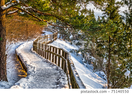 Wooden Walkway Covered with Snow Public Park Wooden Walkway Covered with Snow Public Park 75140550