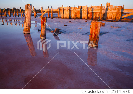 pink salt lake 75141688