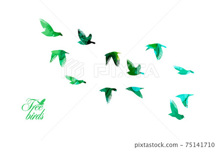 Bird watercolor. A flock of colorful birds. Mixed media. Vector illustration 75141710