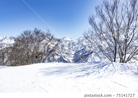 Ski resort [Charman Hiuchi ski resort] (Itoigawa City, Niigata Prefecture) 75141727