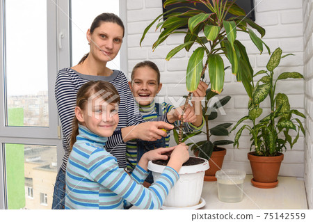 The family transplanted houseplants and joyfully looked into the frame. The family transplanted houseplants and joyfully looked into the frame. 75142559
