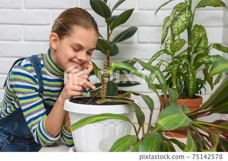 Girl happily examines houseplants Girl happily examines houseplants 75142578