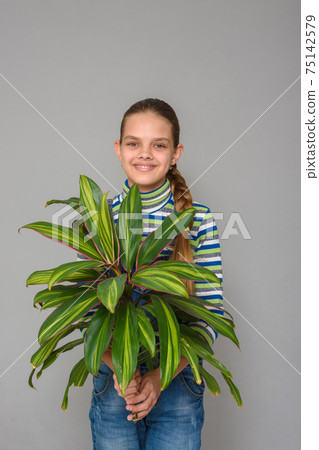 A girl holding a flower of a houseplant cordilina in her hands A girl holding a flower of a houseplant cordilina in her hands 75142579