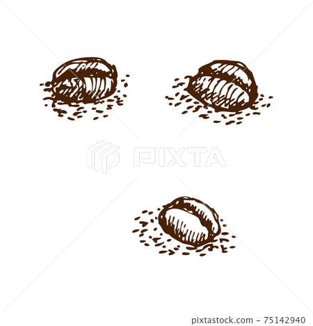 Coffee Beans Illustration 75142940