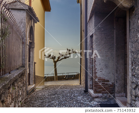 View of the town of Albisano. 75143932