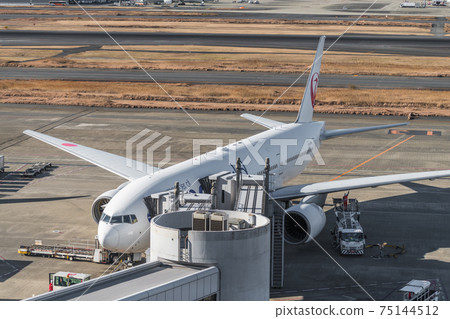 [Haneda Airport Terminal 1] 75144512