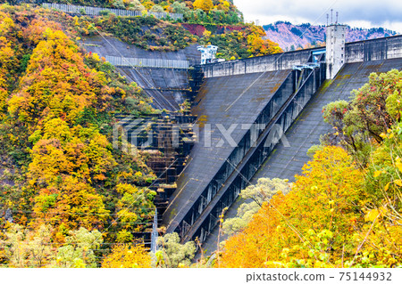 Okutadami Dam in yellow leaves, Niigata Prefecture Okutadami Dam in yellow leaves, Niigata Prefecture 75144932