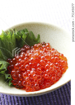 Salmon roe pickled in soy sauce 13 Salmon roe pickled in soy sauce 13 75145077