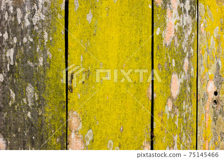 Texture of old wood natural background 75145466