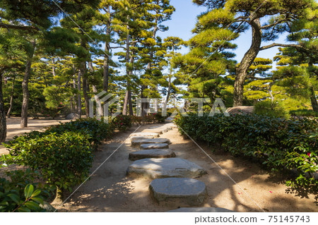 Tamamo Park stepping stones on the walking path (Takamatsu City, Kagawa Prefecture) Tamamo Park stepping stones on the walking path (Takamatsu City, Kagawa Prefecture) 75145743