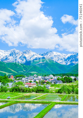 Fresh green Hakuba village 75146041