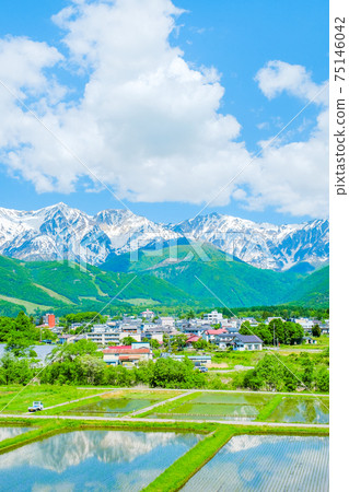 Fresh green Hakuba village Fresh green Hakuba village 75146042