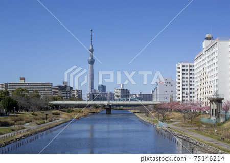 Scenery near Tokyo Sky Tree and Kyunaka River 75146214