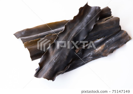 Hidaka kelp 75147149