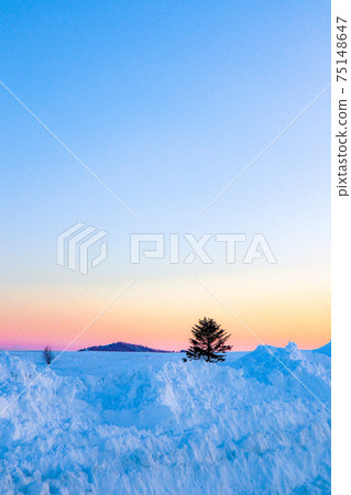 雪山日落[Utsukushigahara] 75148647