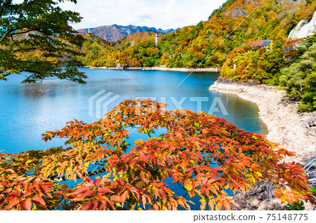 Lake Tagokura in autumn colors, Fukushima Prefecture 75148775