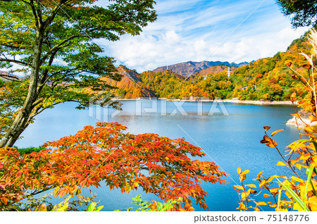 秋天的色彩，福島縣大倉湖 75148776