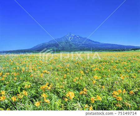 利iri島,北海道Ezokanzo和Rishirifuji 利iri島,北海道Ezokanzo和Rishirifuji 75149714