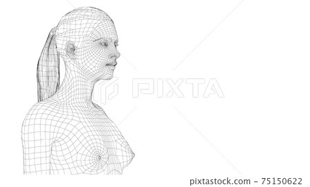 Wireframe portrait of a young beautiful girl Wireframe portrait of a young beautiful girl 75150622